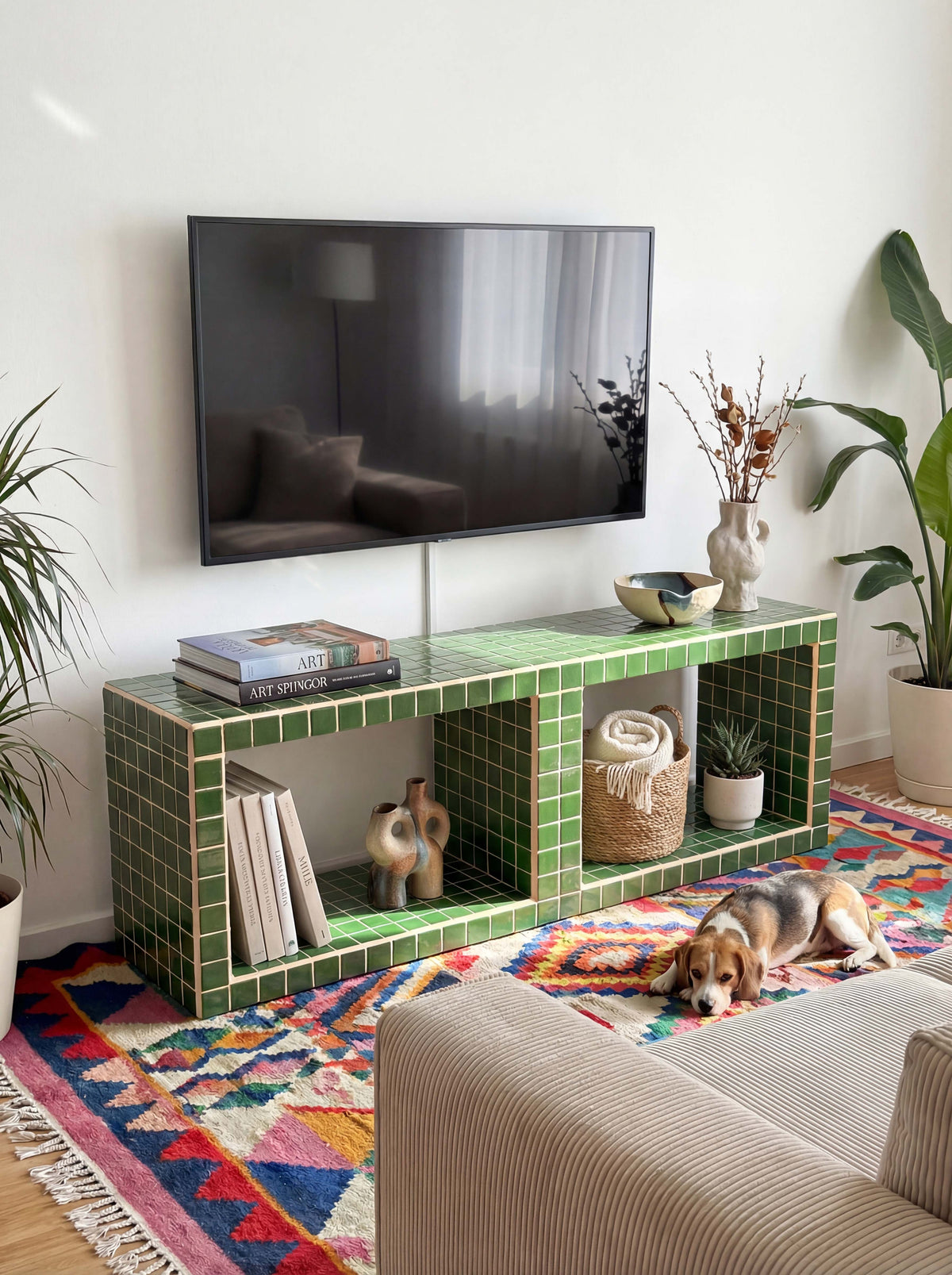 Fun 2 Compartment TV Console