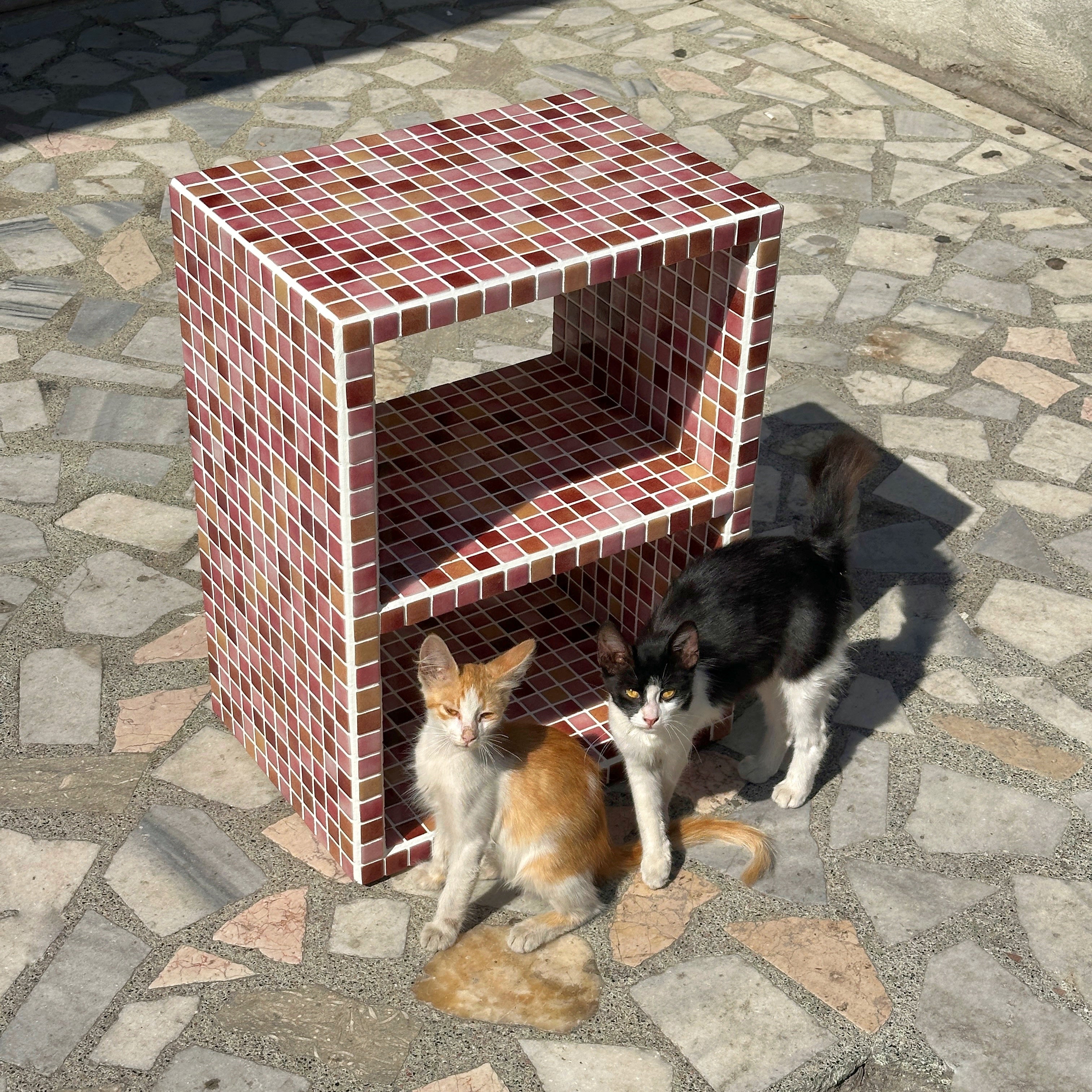 S-BUKY BOOKSHELF