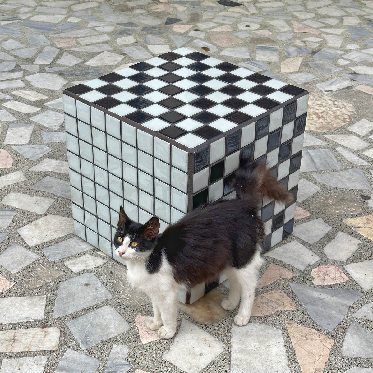 Box Side Table in Black-White Checkered | Grid Design