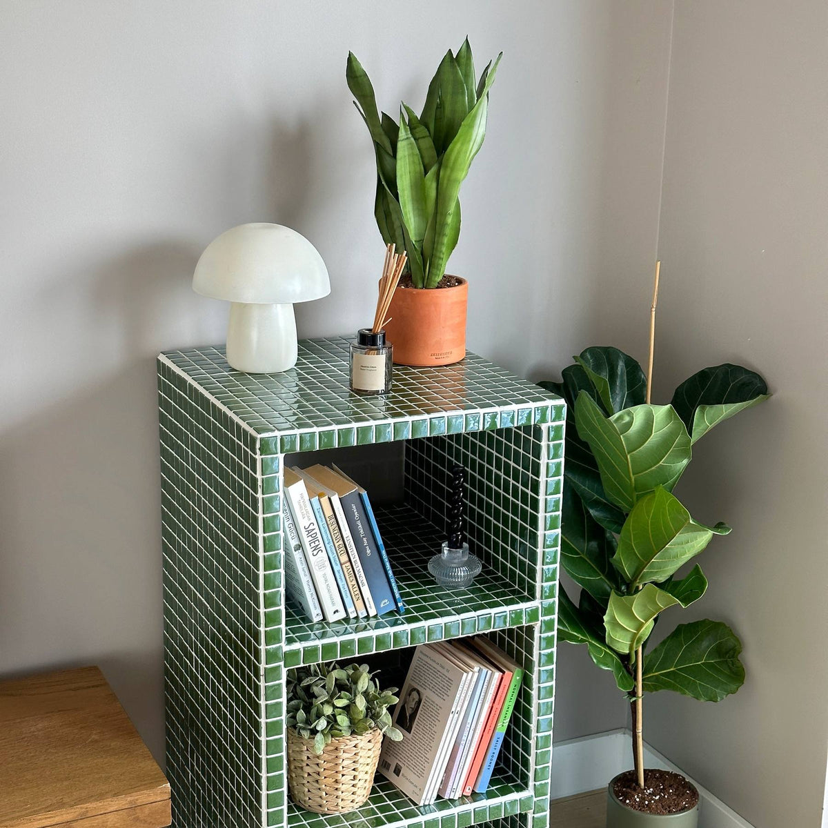 Buky Bookcase in Green | Grid Design