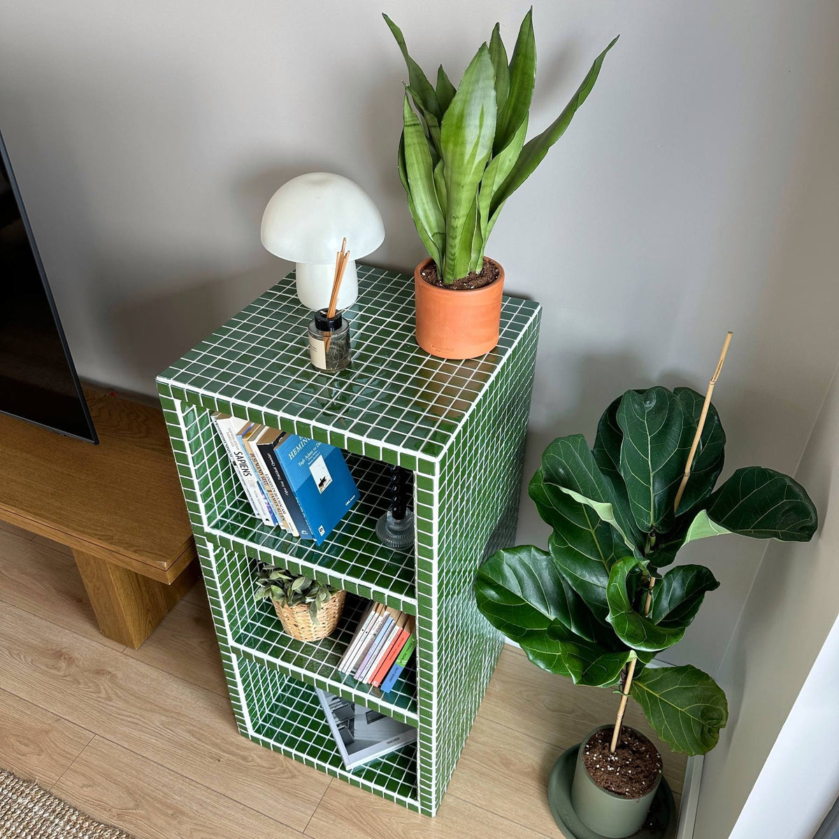 Buky Bookcase in Green | Grid Design