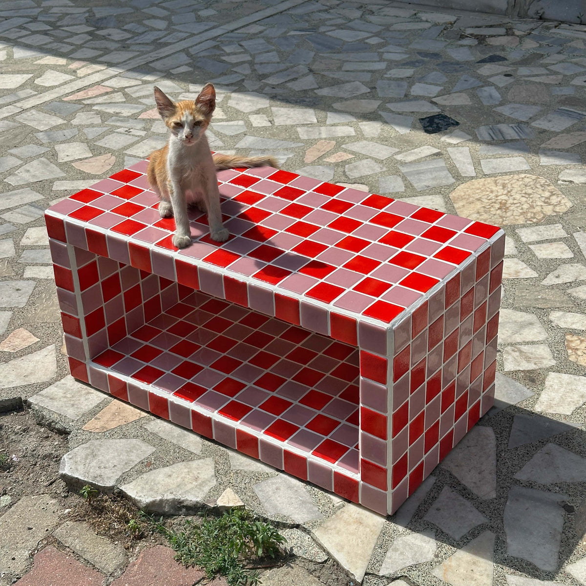 Shoey Coffee Table